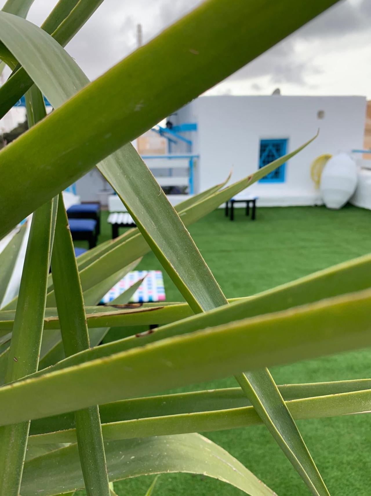 Dar Lola Djerba Bed & Breakfast โฮมท์ซูค ภายนอก รูปภาพ